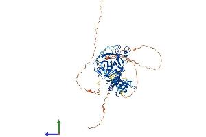 Protein Structure (PS) image for Transmembrane Protease, Serine 13 (TMPRSS13) (AA 1-586) protein (His tag) (ABIN7544577)