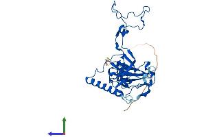 AlphaFold protein structure predicition of Mouse Recombinant Mrpl3 Protein, UniprotID Q99N95