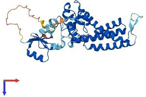 FA2H Protein (AA 1-372) (His tag)