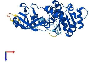 EPM2A Protein (AA 1-330) (His tag)