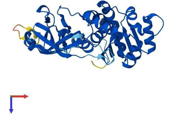 EPM2A Protein (AA 1-330) (His tag)