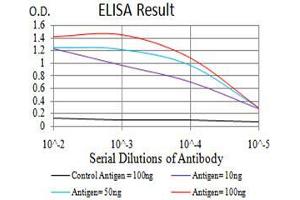 Black line: Control Antigen (100 ng), Purple line: Antigen(10 ng), Blue line: Antigen (50 ng), Red line: Antigen (100 ng), (SIRT6 Antikörper  (AA 141-250))
