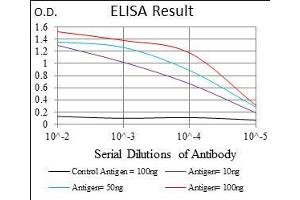 Black line: Control Antigen (100 ng), Purple line: Antigen(10 ng), Blue line: Antigen (50 ng), Red line: Antigen (100 ng), (GSC Antikörper  (AA 191-257))