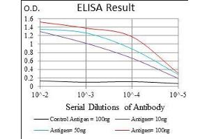 Black line: Control Antigen (100 ng), Purple line: Antigen(10 ng), Blue line: Antigen (50 ng), Red line: Antigen (100 ng), (GSC Antikörper  (AA 191-257))