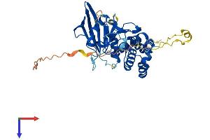 PTPN7 Protein (AA 1-359) (His tag)
