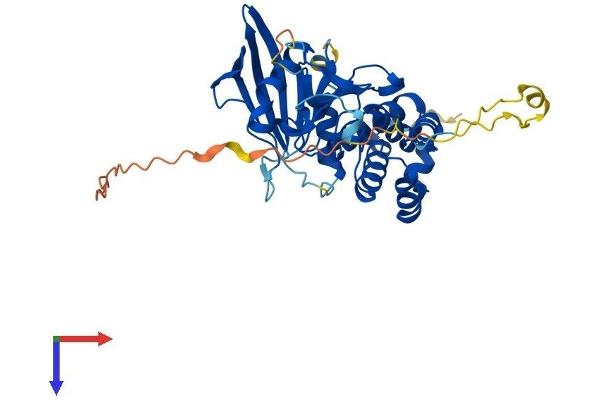 PTPN7 Protein (AA 1-359) (His tag)