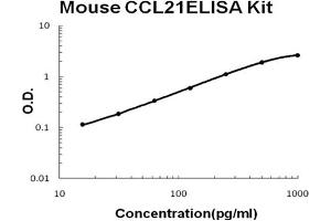 Mouse CCL21/6Ckine Accusignal ELISA Kit Mouse CCL21/6Ckine AccuSignal ELISA Kit standard curve. (CCL21 ELISA Kit)