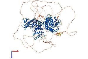 PTPN21 Protein (AA 1-1176) (His tag)