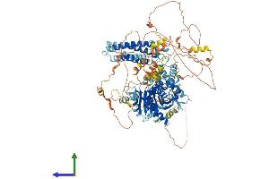 AlphaFold protein structure predicition of Human Recombinant DAGLA Protein, UniprotID Q9Y4D2