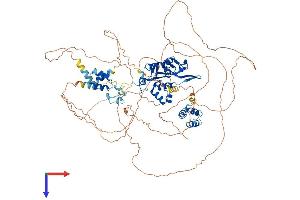 AlphaFold protein structure predicition of Human Recombinant ZC3H12B Protein, UniprotID Q5HYM0