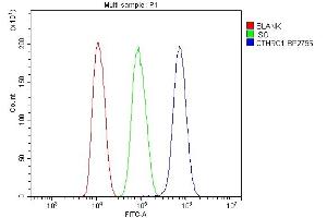 Flow Cytometry analysis of HepG2 cells using anti-CTHRC1 antibody (ABIN7601256). (CTHRC1 Antikörper  (AA 31-243))