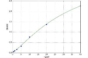 Pyridoxal (Pyridoxine, Vitamin B6) Phosphatase (PDXP) ELISA Kit