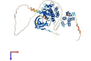 RIPK2 Protein (AA 1-539) (His tag)