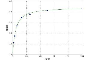 A typical standard curve