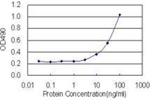 Sandwich ELISA detection sensitivity ranging from 3 ng/mL to 100 ng/mL. (EDA2R (Human) Matched Antibody Pair)