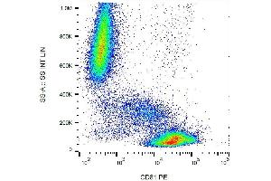 Surface staining of CD81 in human peripheral blood with anti-CD81 (M38) PE. (CD81 Antikörper  (PE))