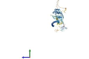 Protein Structure (PS) image for BRCA1 Associated Protein (BRAP) (AA 1-591) protein (His tag) (ABIN7560412)