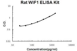 WIF1 ELISA Kit