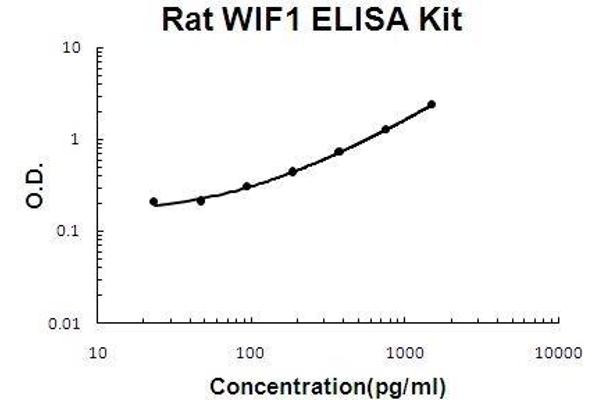 WIF1 Kit ELISA