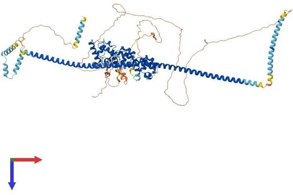 PPFIBP2 Protein (AA 1-876) (His tag)