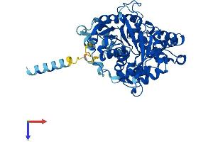 EPHX1 Protein (AA 1-455) (His tag)