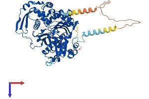 ACTR8 Protein (AA 1-624) (His tag)