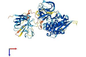 ITK Protein (AA 1-625) (His tag)