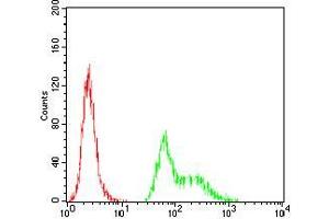 Flow Cytometry (FACS) image for anti-Transcription Factor AP-2 alpha (Activating Enhancer Binding Protein 2 Alpha) (TFAP2A) (AA 1-100) antibody (ABIN5542419)