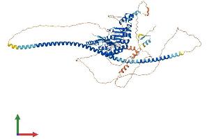 AlphaFold protein structure predicition of Mouse Recombinant Fbxo41 Protein, UniprotID Q6NS60