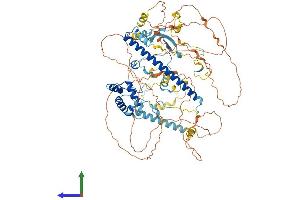 Protein Structure (PS) image for Enhancer of Polycomb Homolog 1 (EPC1) (AA 1-813) protein (His tag) (ABIN7564526)