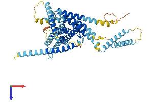 LMBR1L Protein (AA 1-489) (His tag)