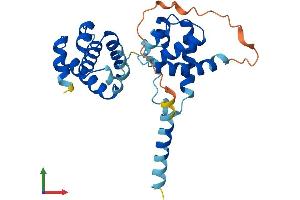 Protein Structure (PS) image for Origin Recognition Complex, Subunit 6 (ORC6) (AA 1-252) protein (His tag) (ABIN7550327)