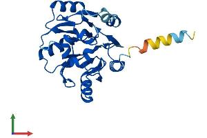 Protein Structure (PS) image for Eukaryotic Translation Initiation Factor 6 (EIF6) (AA 1-245) protein (His tag) (ABIN7548472)
