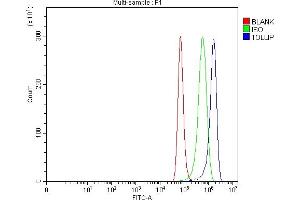anti-Toll Interacting Protein (TOLLIP) (AA 1-274) antibody