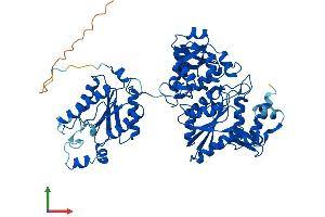 Protein Structure (PS) image for 3'-phosphoadenosine 5'-phosphosulfate Synthase 1 (PAPSS1) (AA 1-624) protein (His tag) (ABIN7563891)