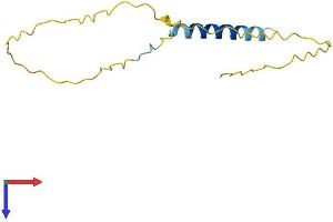 AlphaFold protein structure predicition of Human Recombinant C11orf71 Protein, UniprotID Q6IPW1