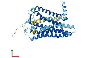 AlphaFold protein structure predicition of Human Recombinant OR10K2 Protein, UniprotID Q6IF99 (Olfactory Receptor, Family 10, Subfamily K, Member 2 (OR10K2) (AA 1-312) protein (His tag))