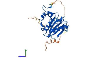Protein Structure (PS) image for Eukaryotic Translation Initiation Factor 4E Family Member 2 (EIF4E2) (AA 1-245) protein (His tag) (ABIN7548471)