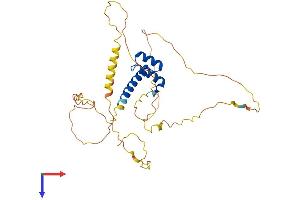 HOXD11 Protein (AA 1-323) (His tag)