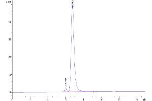 Size-exclusion chromatography-High Pressure Liquid Chromatography (SEC-HPLC) image for CD3 epsilon (CD3E) (AA 23-48) protein (Fc-Avi Tag,Biotin) (ABIN7274154)