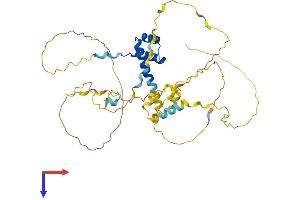 BARHL2 Protein (AA 1-387) (His tag)