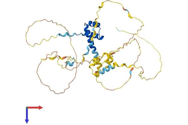 BARHL2 Protein (AA 1-387) (His tag)