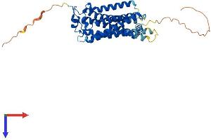 LPAR1 Protein (AA 1-364) (His tag)