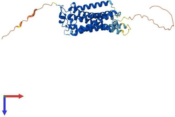 LPAR1 Protein (AA 1-364) (His tag)