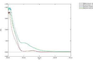 Mass Spec of Protein Standard from the Kit (Testo). (Testosterone ELISA Kit)