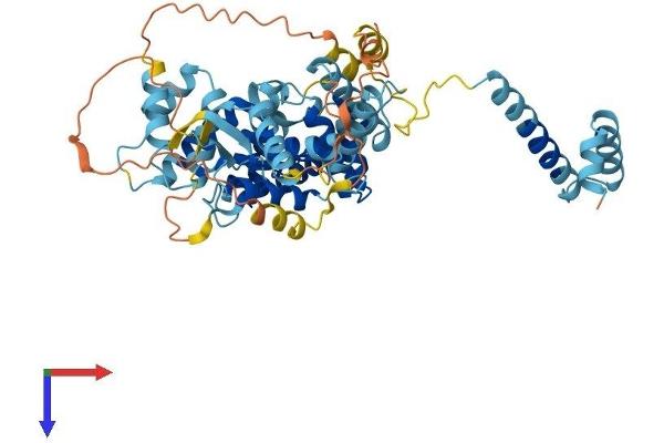 DEPDC7 Protein (AA 1-511) (His tag)