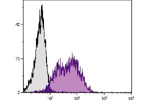 Human peripheral blood lymphocytes were stained with Mouse Anti-Human CD54-PE. (ICAM1 Antikörper  (Biotin))