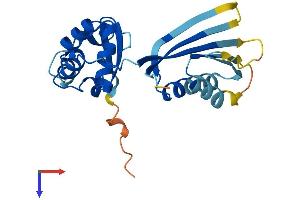 KCTD6 Protein (AA 1-237) (His tag)
