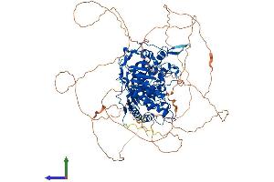 Protein Structure (PS) image for PARG (PARG) (AA 1-969) protein (His tag) (ABIN7562641)
