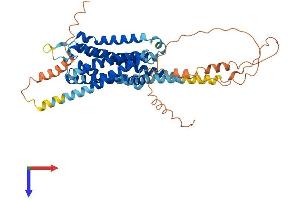 Serotonin Receptor 2B Protein (HTR2B) (AA 1-481) (His tag)